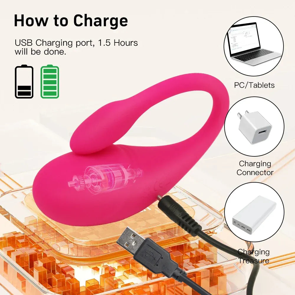 Bluetooth Wearable Kegel Ball Vibrator For Women